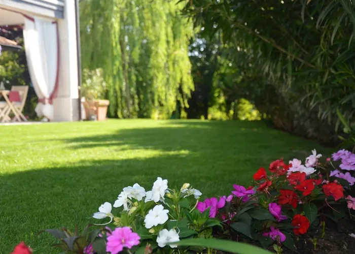 Asso Bed & Breakfast